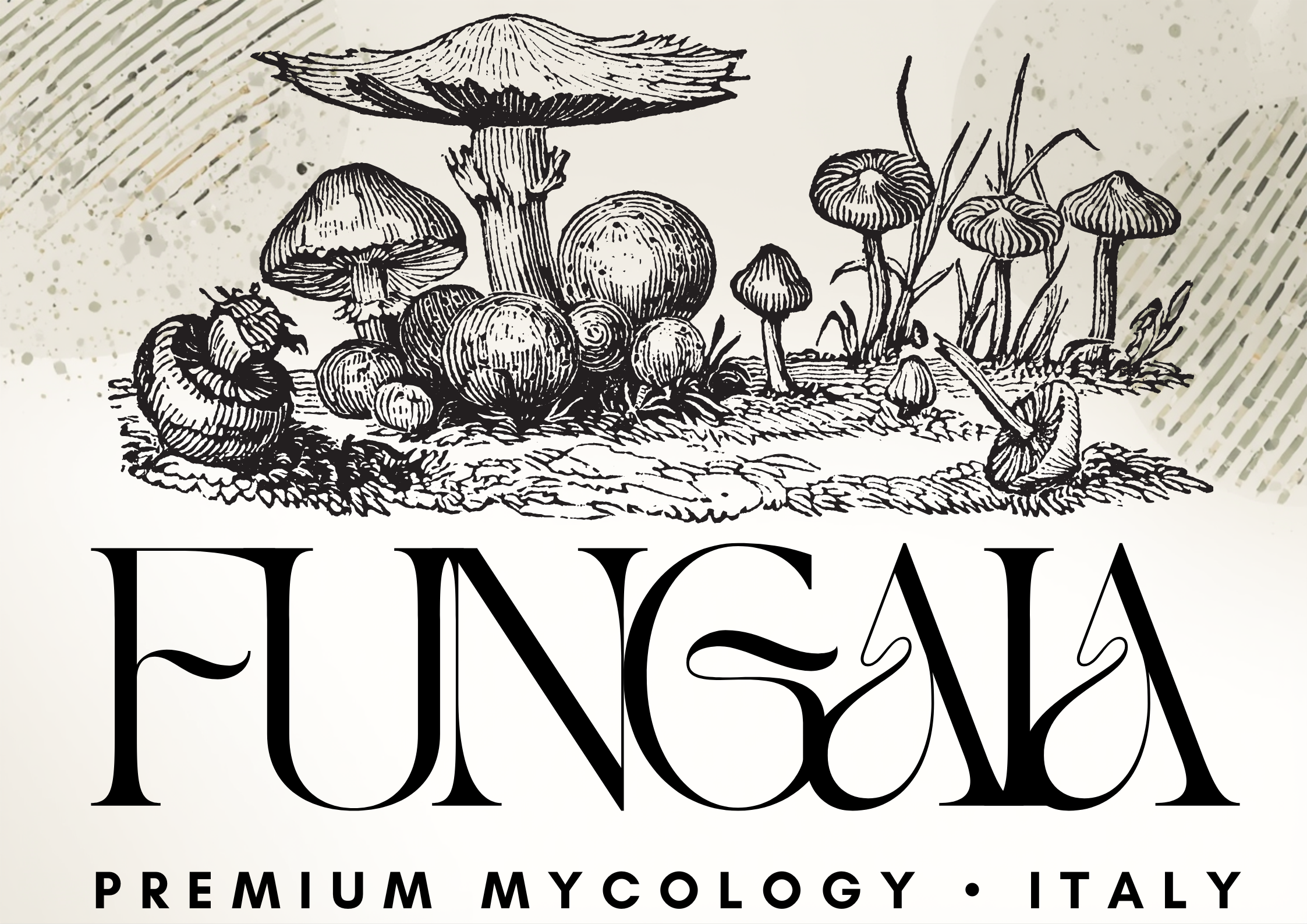 Italian Mycology Excellence
– Fungaia