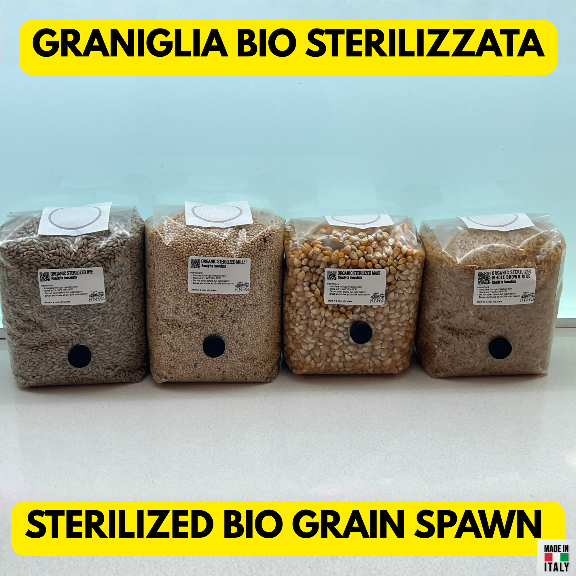 Grain Spawn