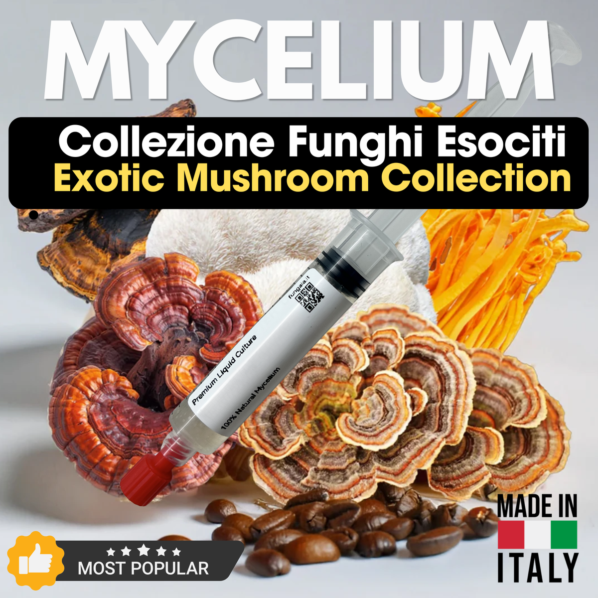 Funghi Medicinali