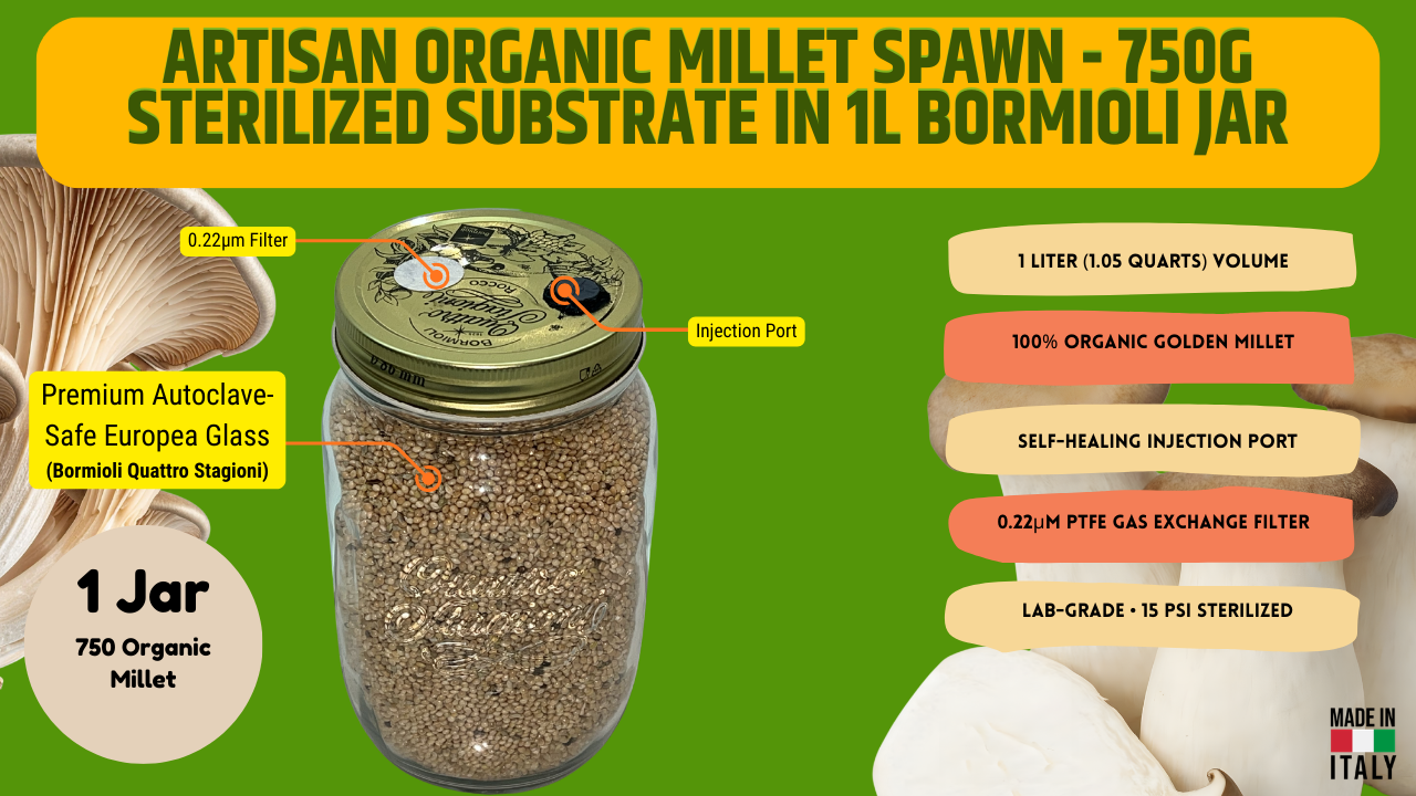 Organic Millet Spawn Jar 1L - Sterilized Mycology Grain with Injection Port