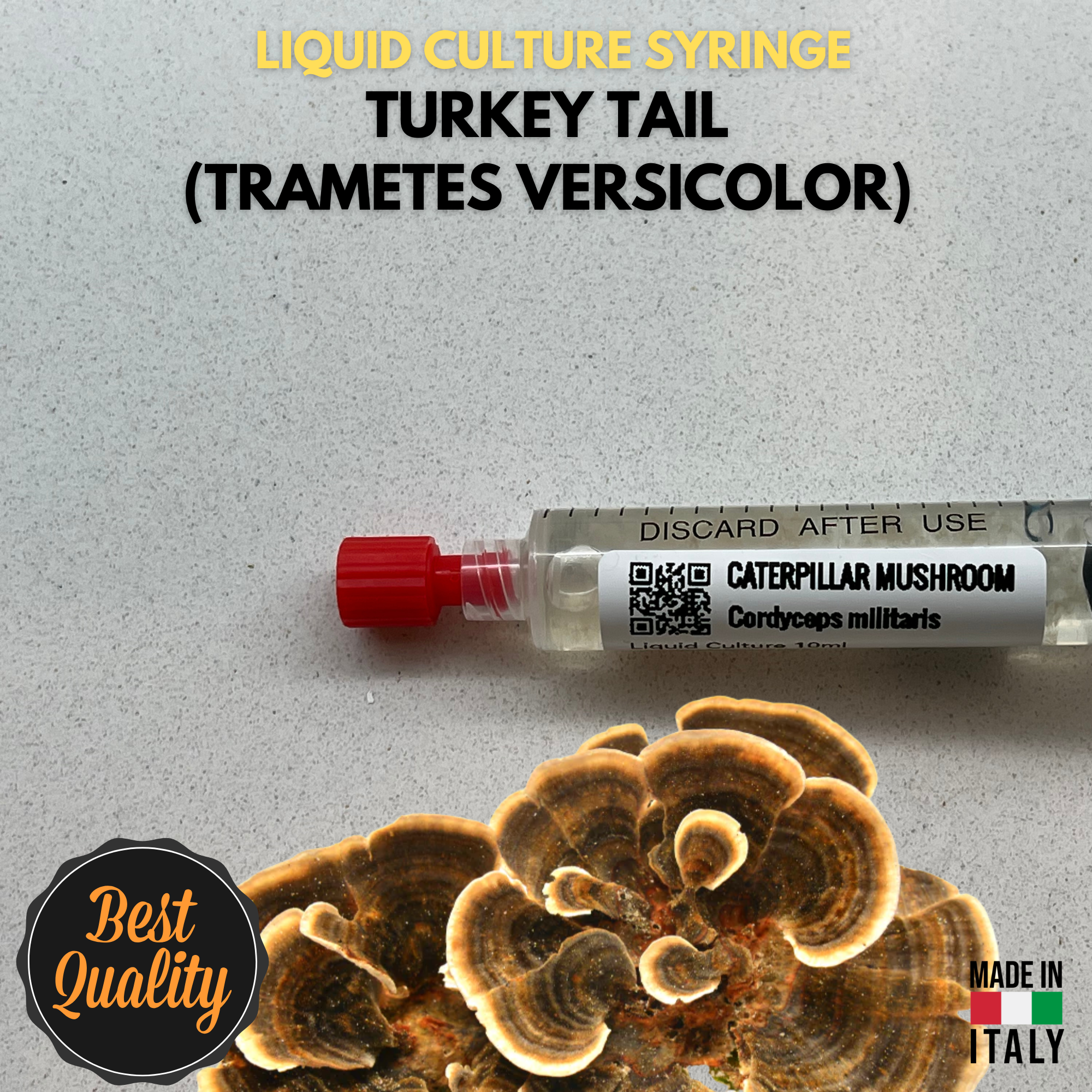Cultura Liquida Turkey Tail  - Trametes versicolor - Micelio Fungo Medicinale Premium - Made in Italy