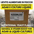 Nutritional Yeast 100g Mycelium Booster Agar Liquid Culture Professional Mycology Supply