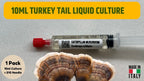 Cultura Liquida Coda di Tacchino  - Trametes versicolor - Micelio Fungo Medicinale Premium - Made in Italy