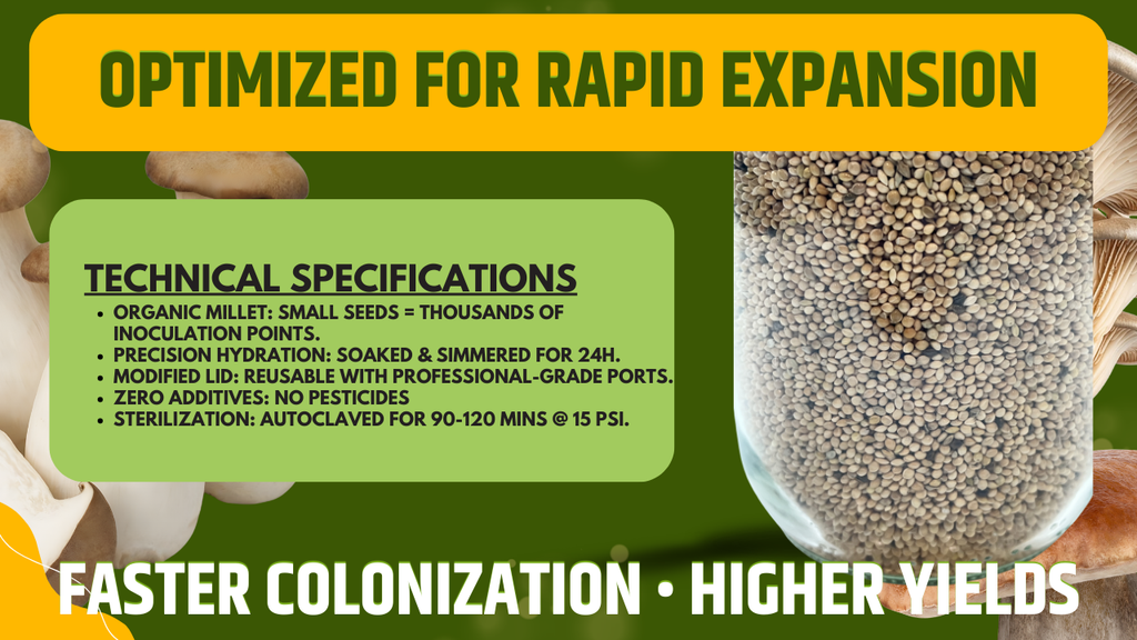 Organic Millet Spawn Jar 1L - Sterilized Mycology Grain with Injection Port