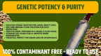 Chestnut Mushroom Liquid Culture Unit - Pholiota adiposa - Premium Gourmet Mushroom Mycelium - Made in Italy