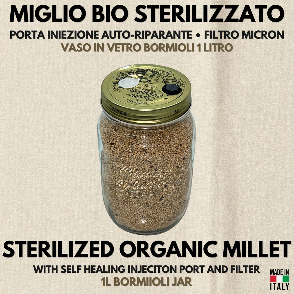 Grain Spawn Miglio Biologico Vaso Bormioli 1L Sterilizzato Porta PTFE