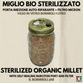 Grain Spawn Miglio Biologico Vaso Bormioli 1L Sterilizzato Porta PTFE