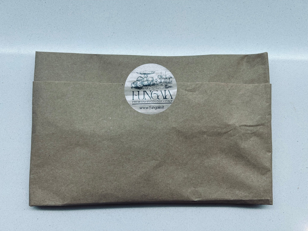 Beginner mushroom growing gift box with all-in-one bag and live culture