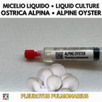 Coltura Liquida Oyster Alpine 10ml | Fungo Oyster Gourmet Resistente al Freddo | Pleurotus Pulmonarius