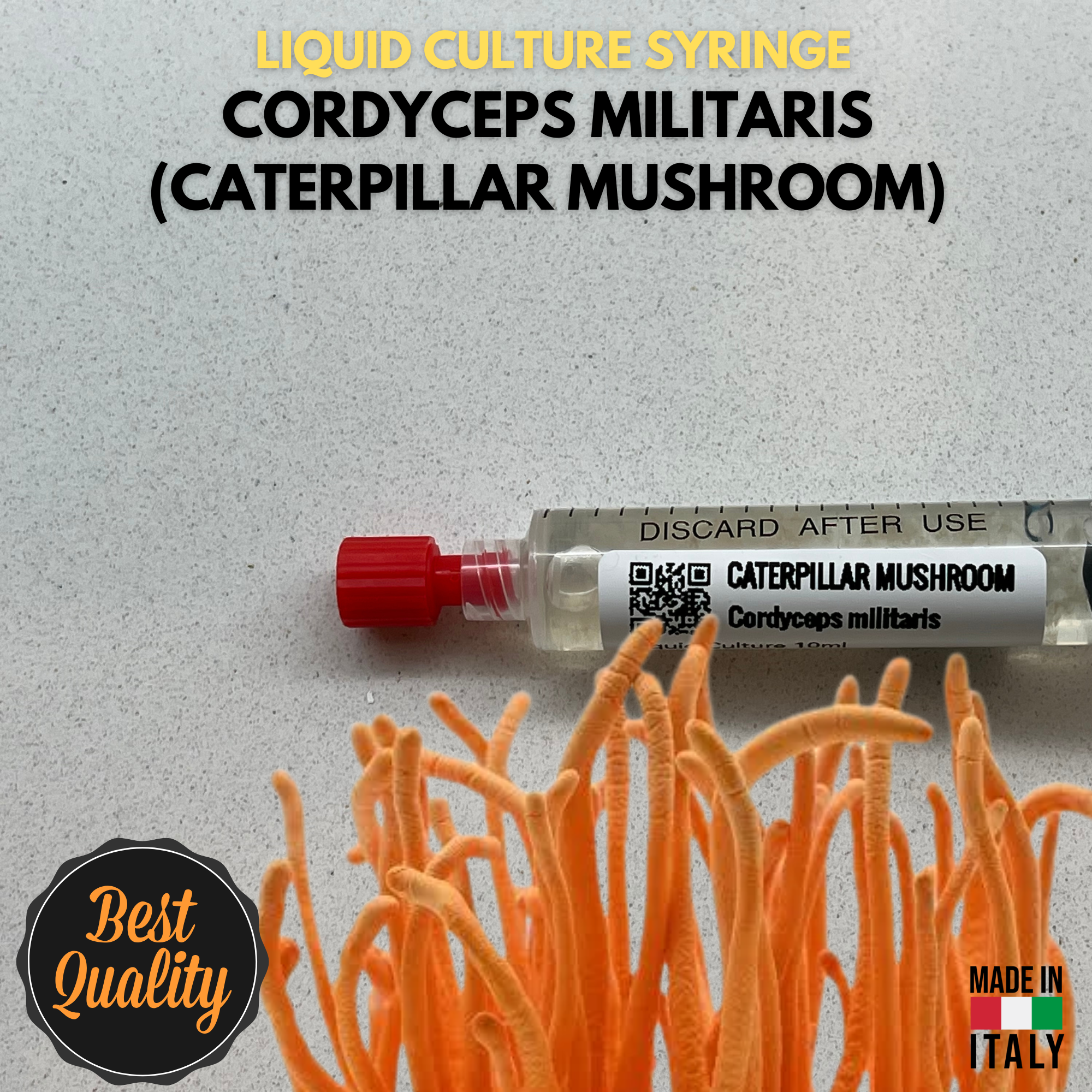 Cultura Liquida Cordyceps Militaris - Micelio Fungo Medicinale Premium - Genetica Alta Resa - Made in Italy