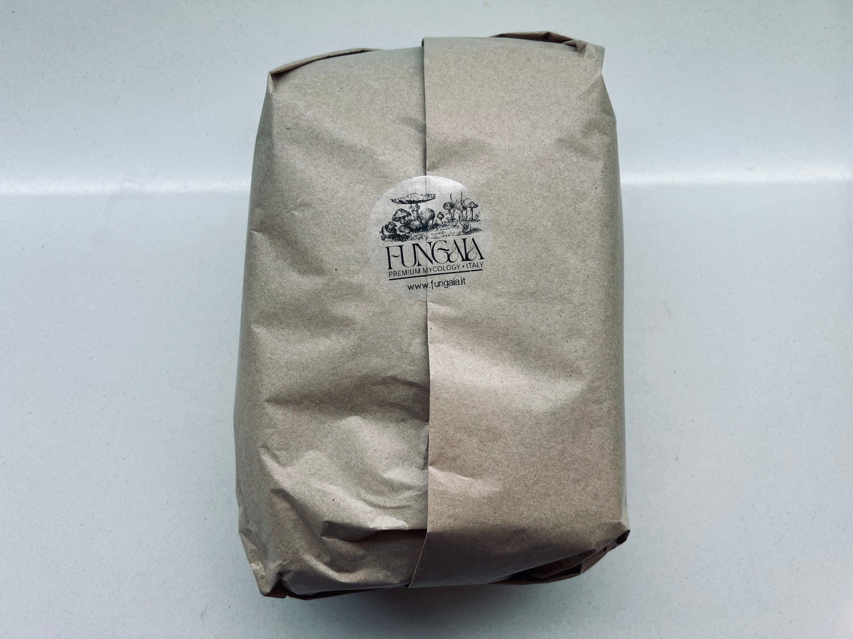 Beginner mushroom growing gift box with all-in-one bag and live culture