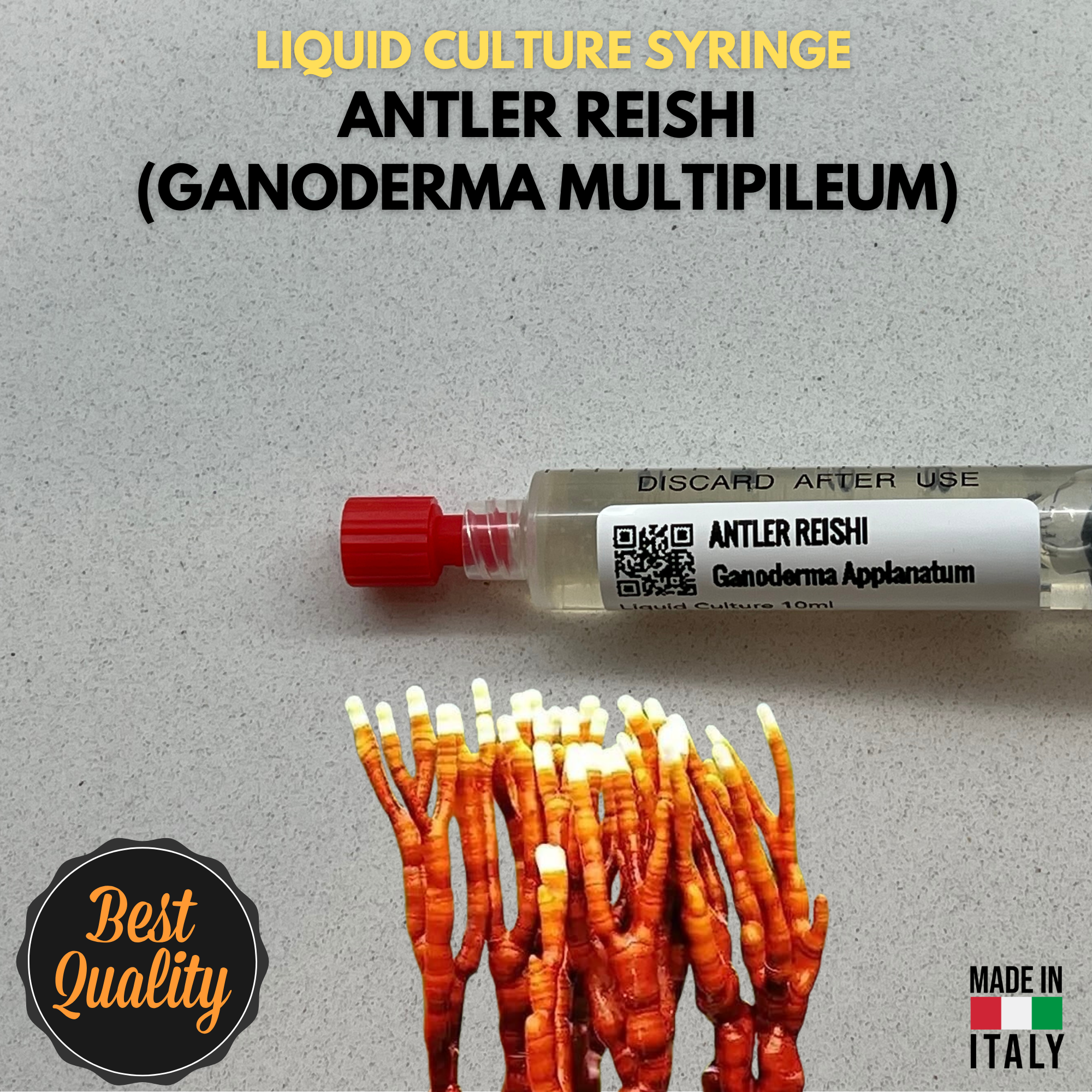 Cultura Liquida Fungo Enoki - Flammulina velutipes - Micelio Professionale Gourmet - Made in Italy