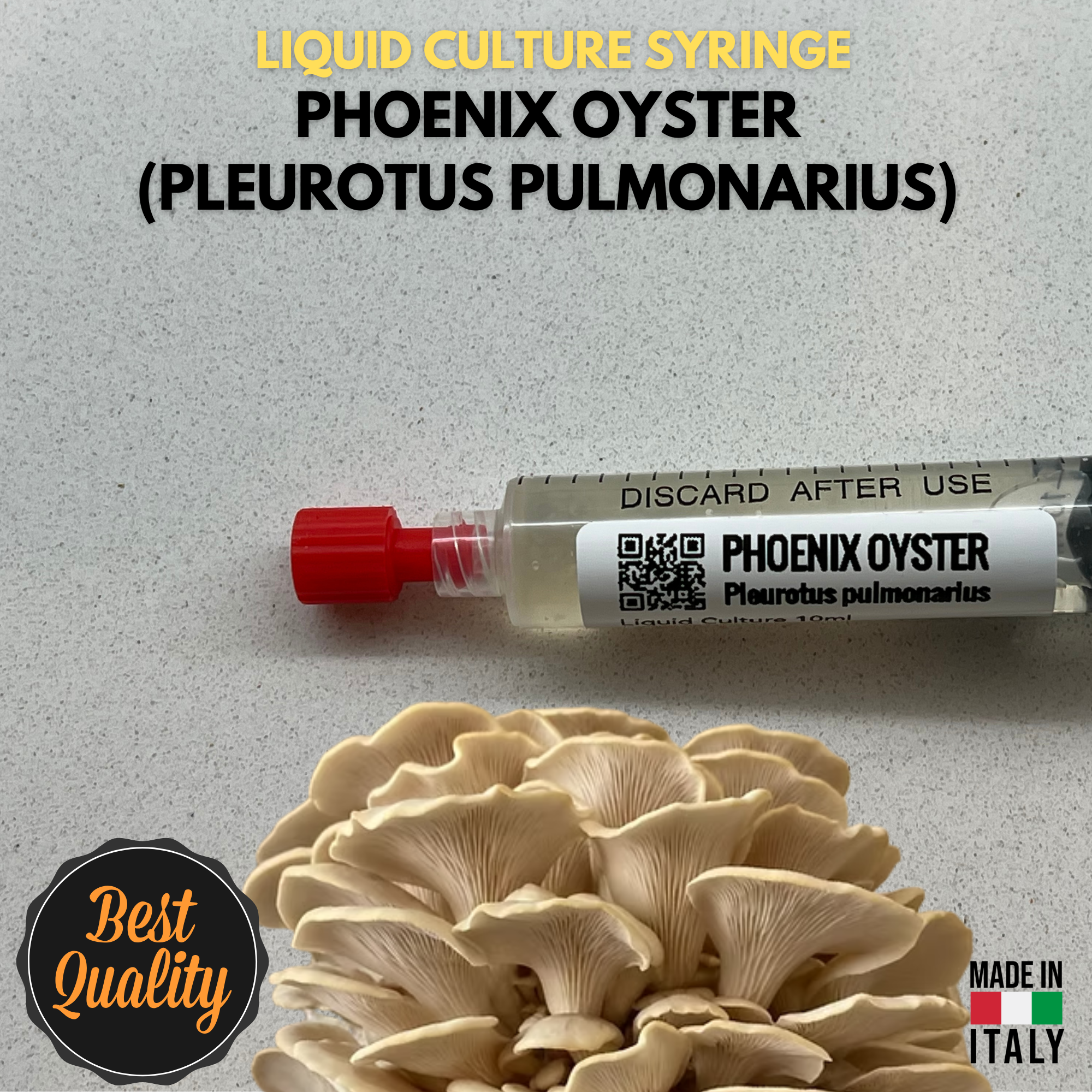 Cultura Liquida Fungo Phoenix Oyster - Pleurotus pulmonarius - Micelio Professionale Gourmet - Made in Italy