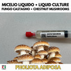 Chestnut Mushroom Liquid Culture Unit - Pholiota adiposa - Premium Gourmet Mushroom Mycelium - Made in Italy