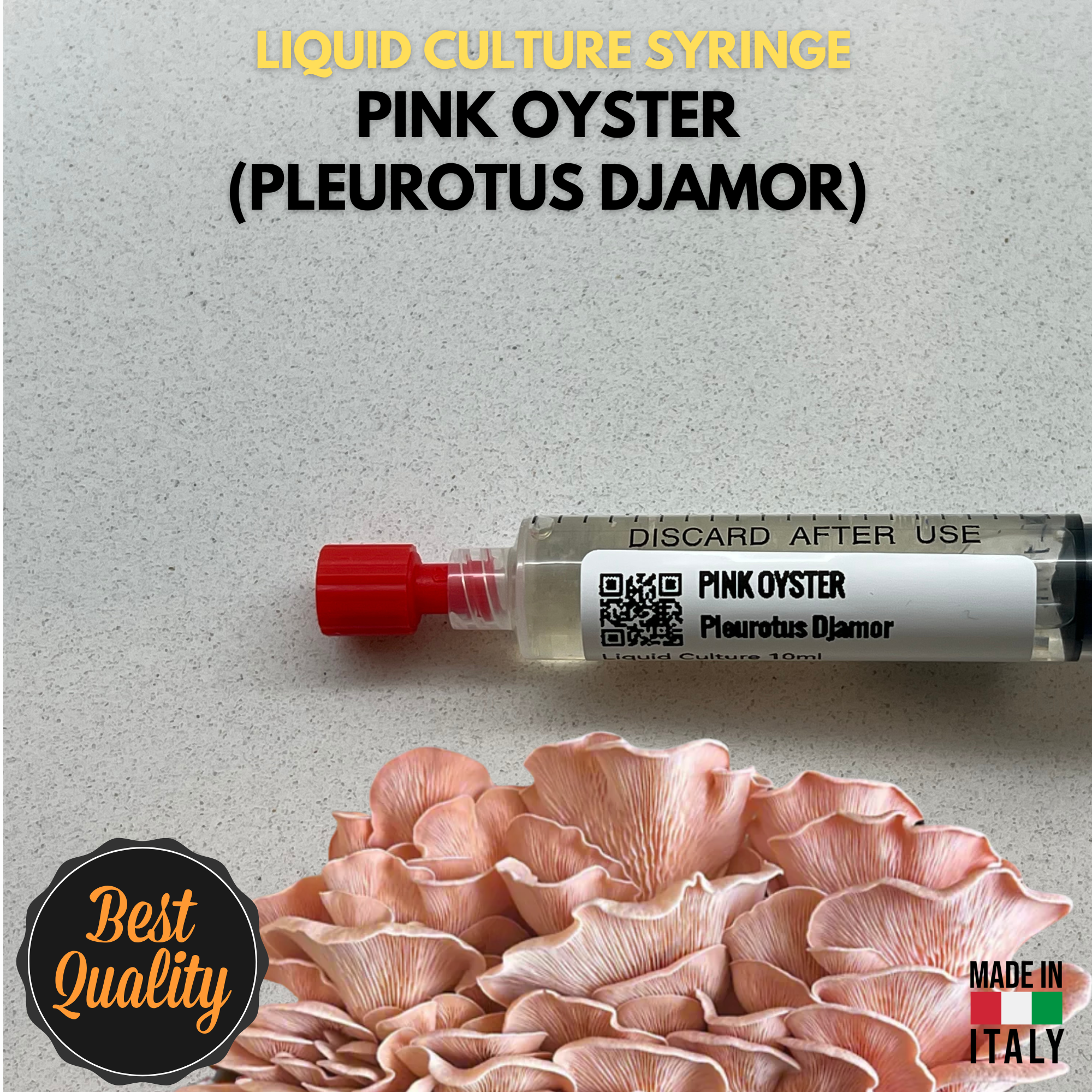 Cultura Liquida Fungo Ostrica Rosa  - Pleurotus djamor - Micelio Professionale Gourmet - Made in Italy