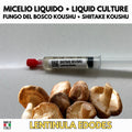 Coltura Liquida Shiitake Koushu 10ml Micelio Vivo Funghi Gourmet Materiale Micologia Lentinula Edodes