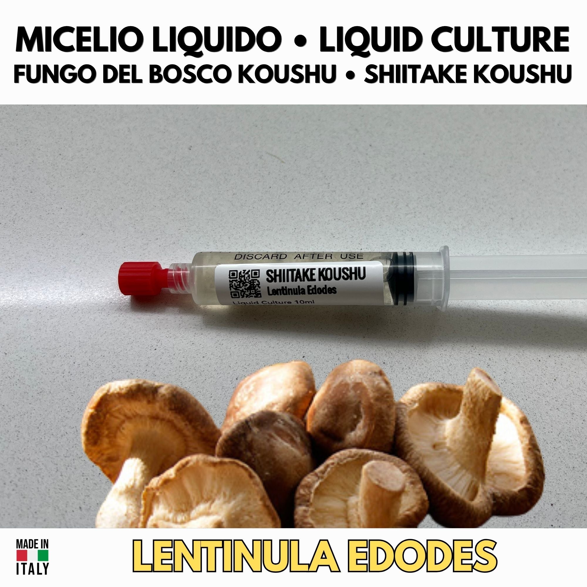 Shiitake Koushu Liquid Culture 10ml Gourmet Mushroom Mycelium Lentinula Edodes Mycology Supplies