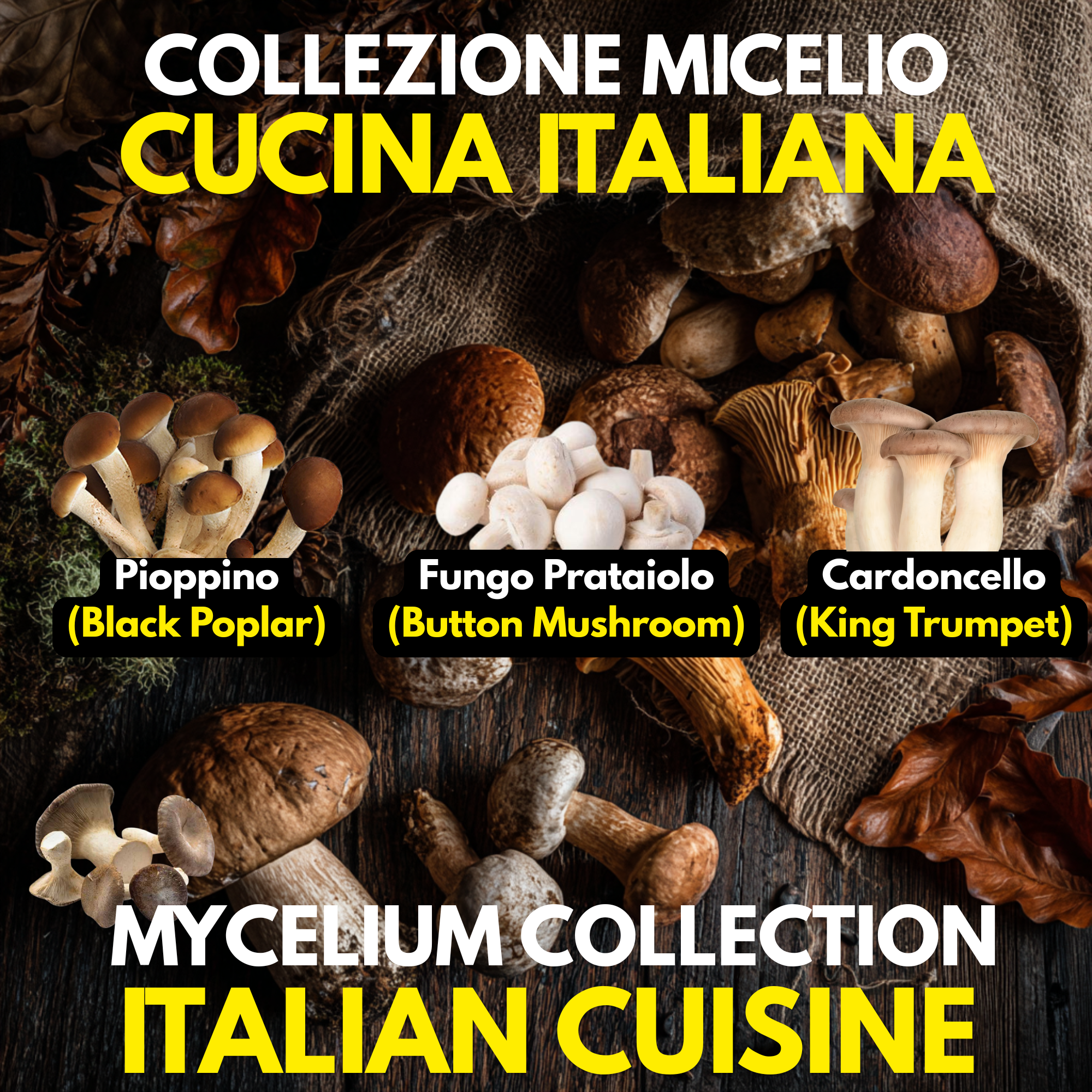 Italian Cuisine Collection – 3 Liquid Cultures | Champignon Pioppino Cardoncello | Traditional Italian Mushroom Growing Bundle