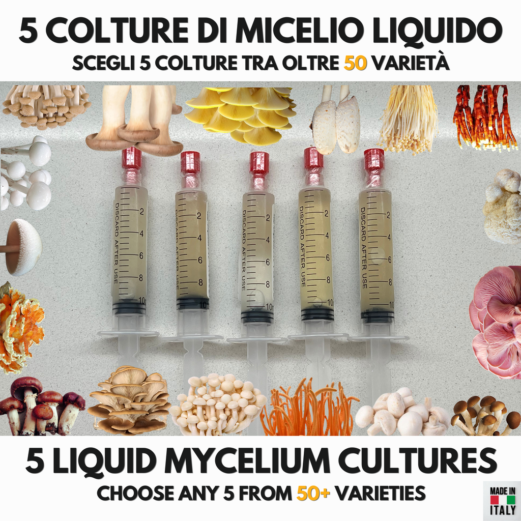 5  Liquid Culture Bundle | Gourmet Mushroom Cultures | 50+ Varieties Available | Premium Mycelium