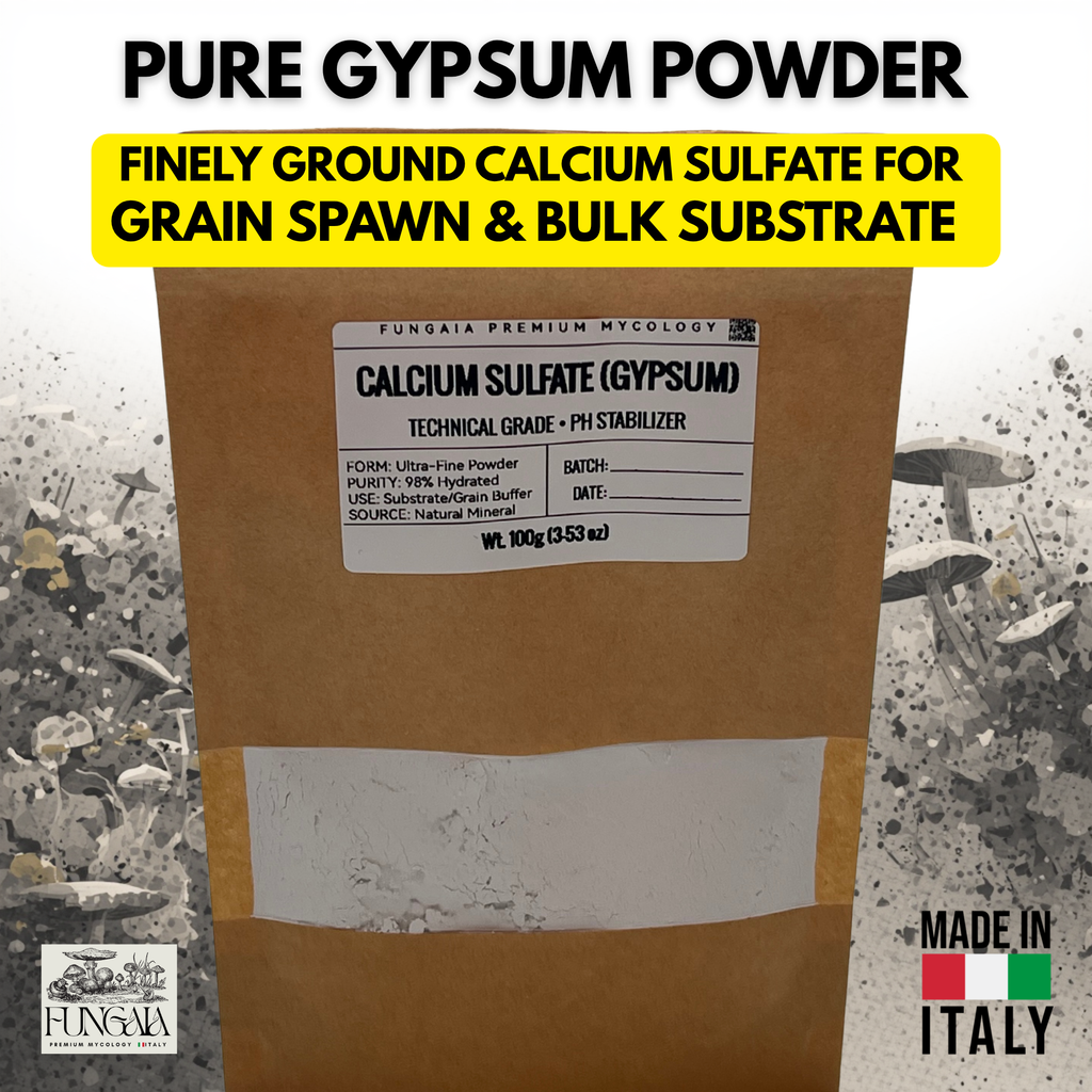 Gypsum Mycology 100g Calcium Sulfate Mushroom Substrate Amendment Grain Spawn pH Buffer Professional