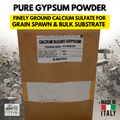 Gypsum Mycology 100g Calcium Sulfate Mushroom Substrate Amendment Grain Spawn pH Buffer Professional