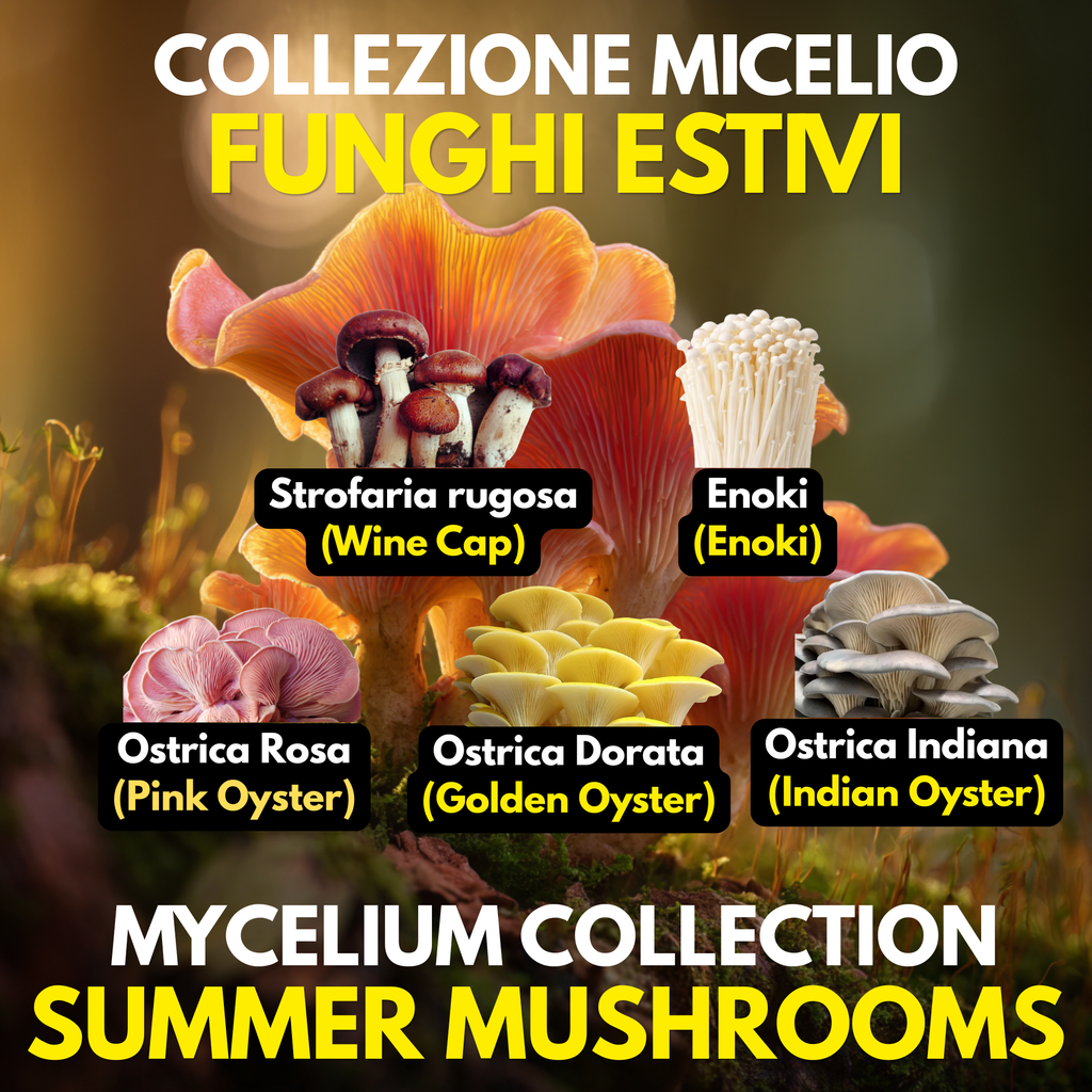Summer Mushroom Liquid Culture Bundle – 5 LC. Pink Oyster  | Golden Oyster  | Wine Cap  | Enoki. Warm Weather Mushroom Growing Kit