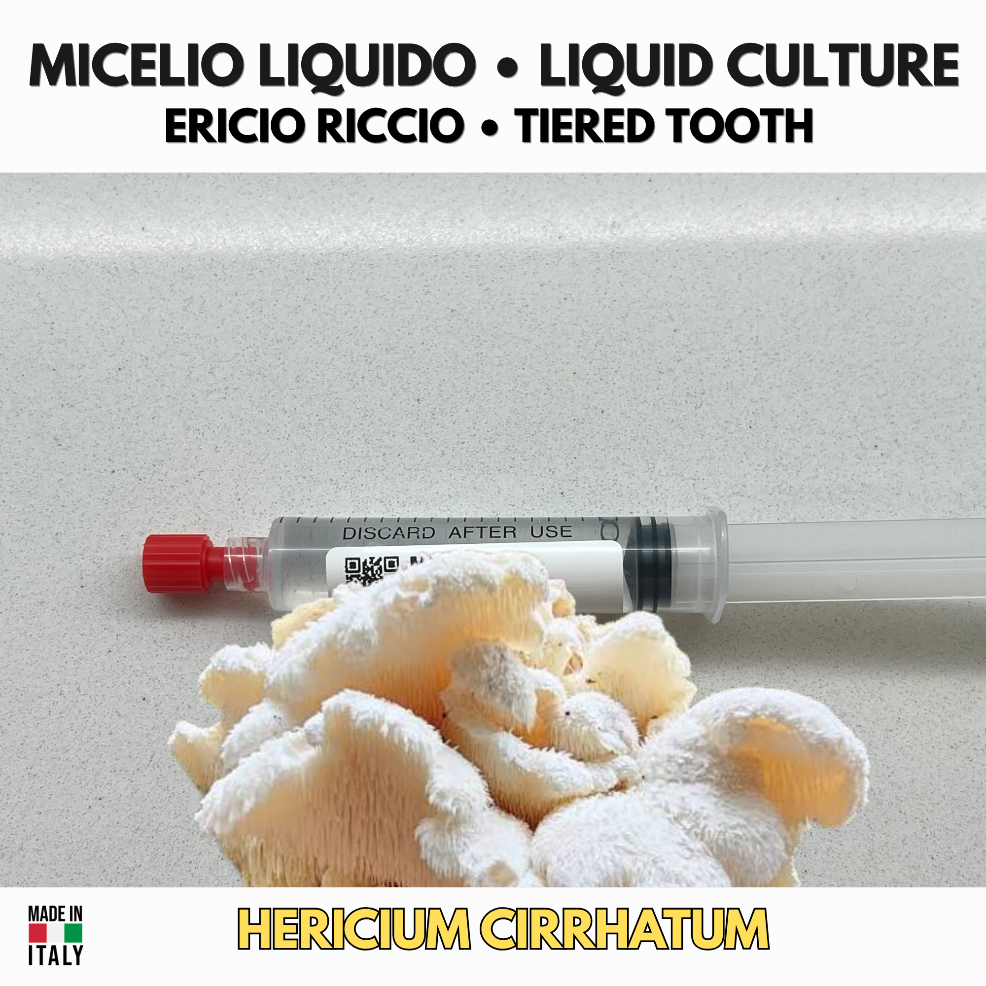 Ericio Riccio  | Hericium cirrhatum Coltura Liquida |  Fungo Gourmet Premium per Coltivazione