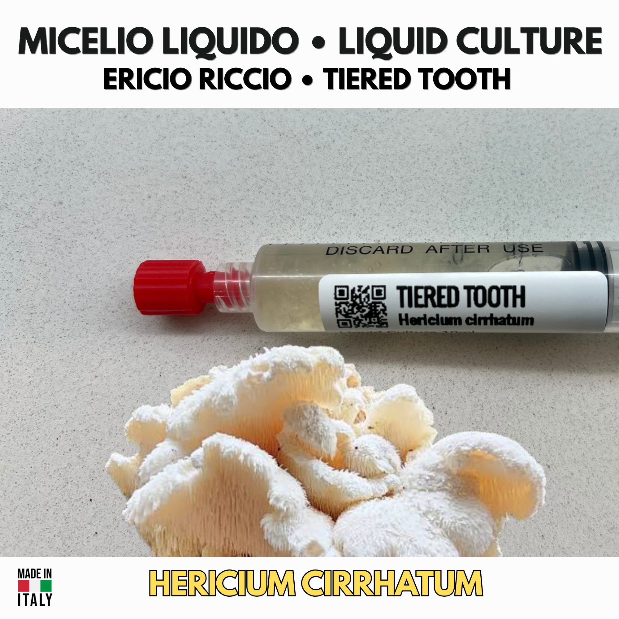 Ericio Riccio  | Hericium cirrhatum Coltura Liquida |  Fungo Gourmet Premium per Coltivazione