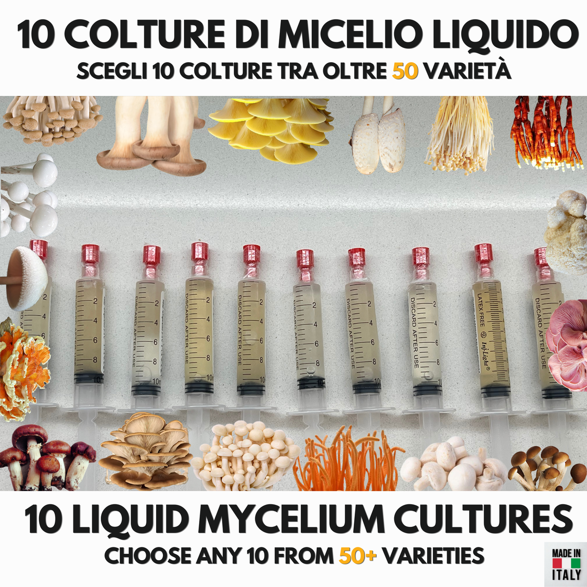 Bundle 10 Colture Liquide | Oltre 50 Varietà Funghi Gourmet