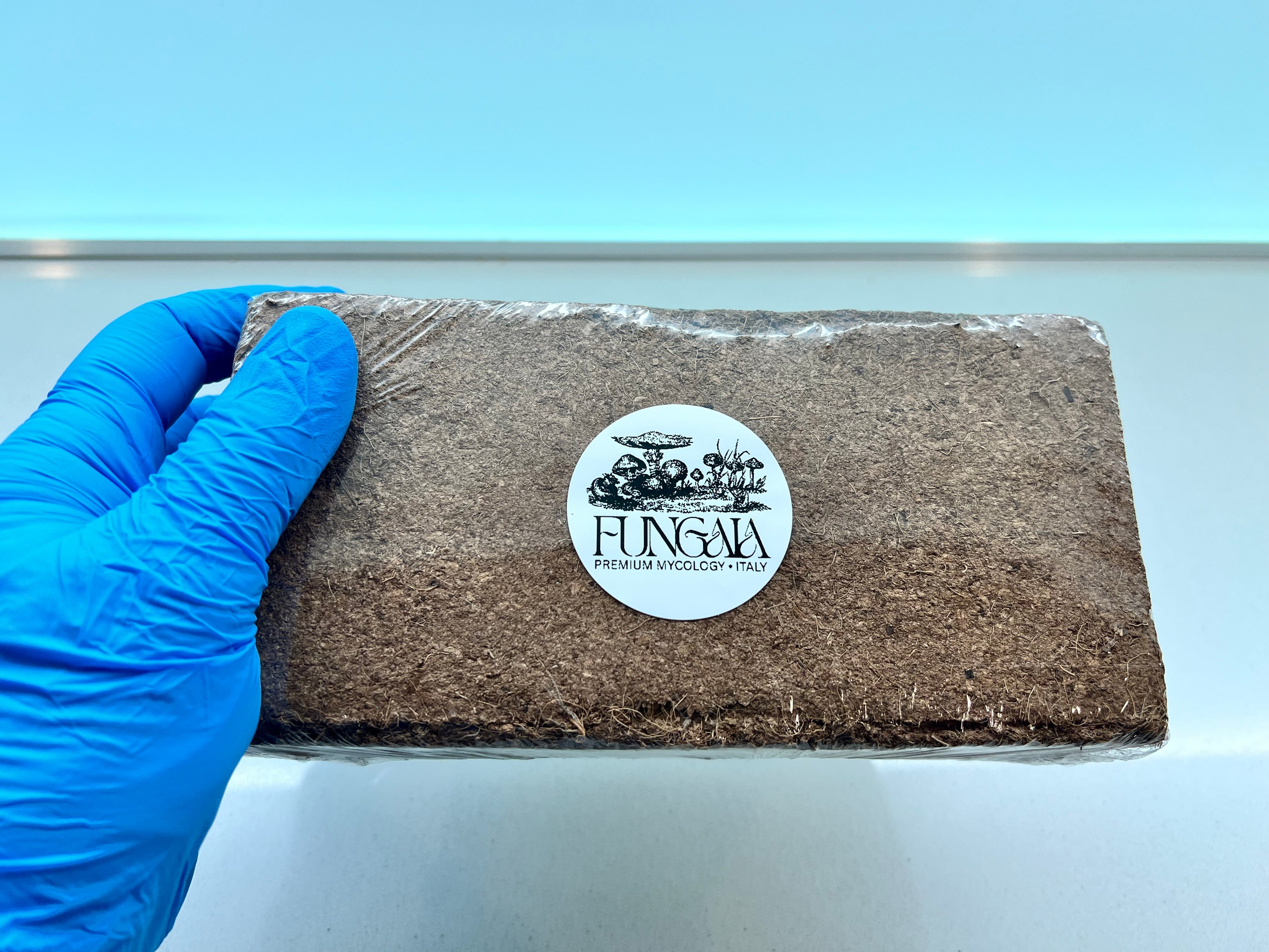 Mushroom Substrate Mix: Coco Coir, Vermiculite, Gypsum - 7L Yield