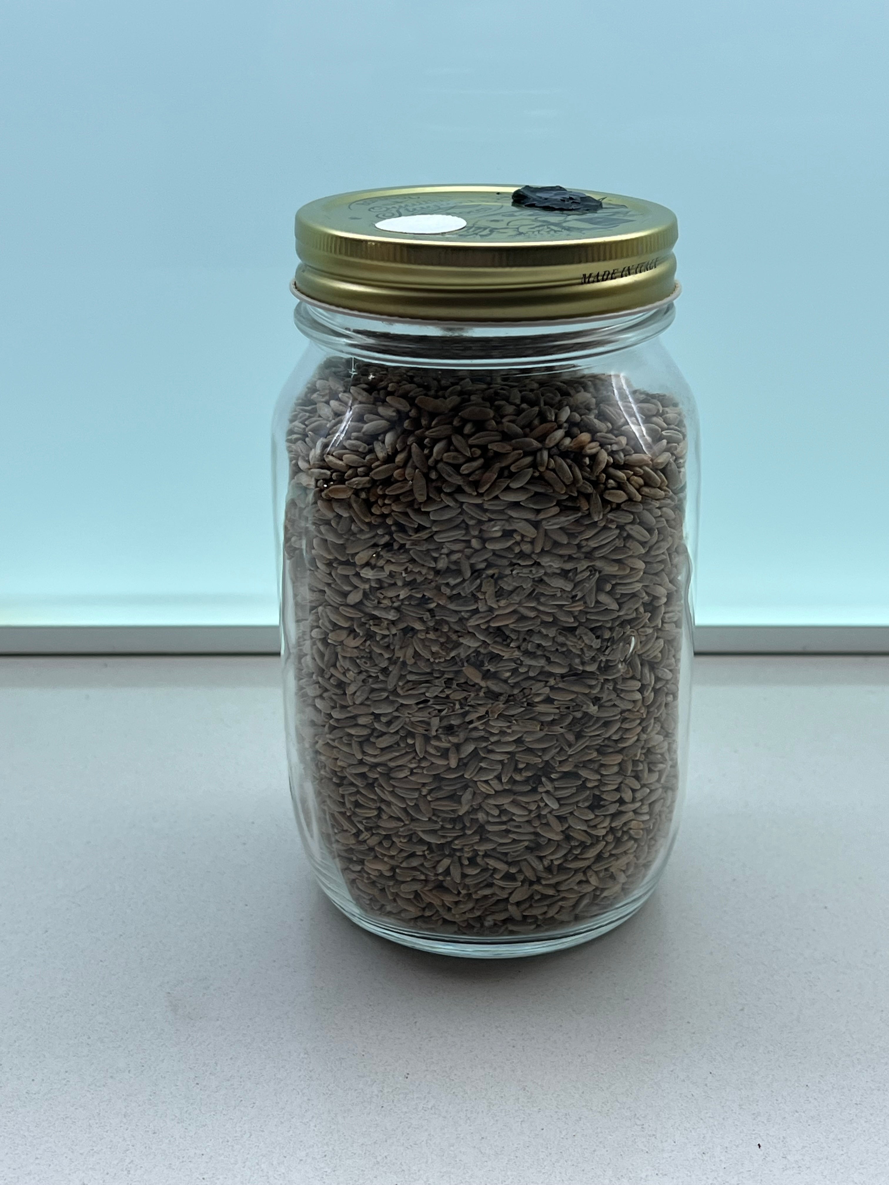 750g Segale Bio Sterilizzata - Vaso Bormioli 1L con Porta Iniezione e Filtro