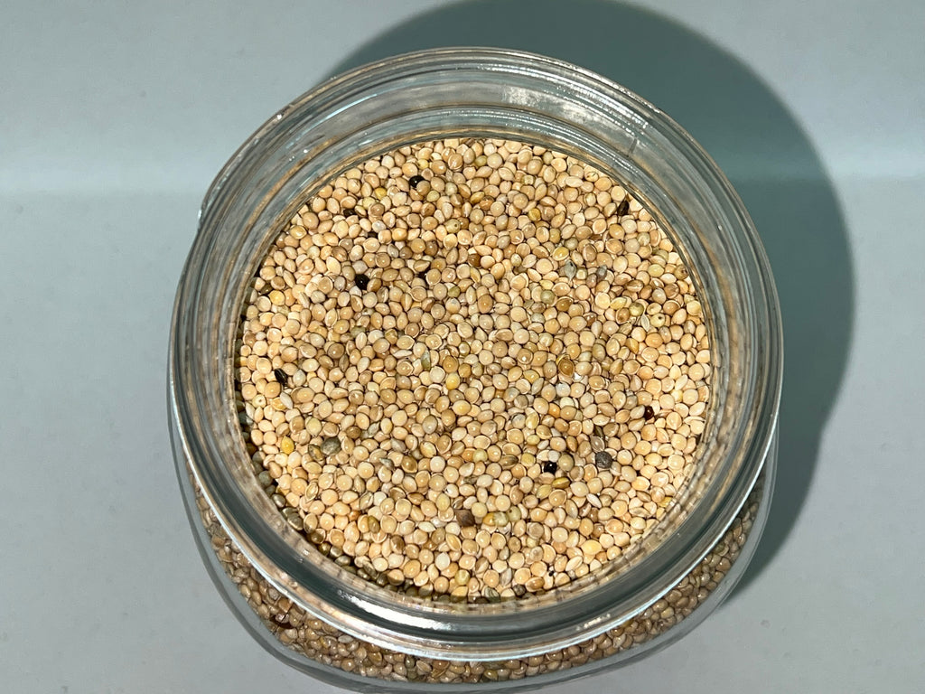 Organic Millet Spawn Jar 1L - Sterilized Mycology Grain with Injection Port