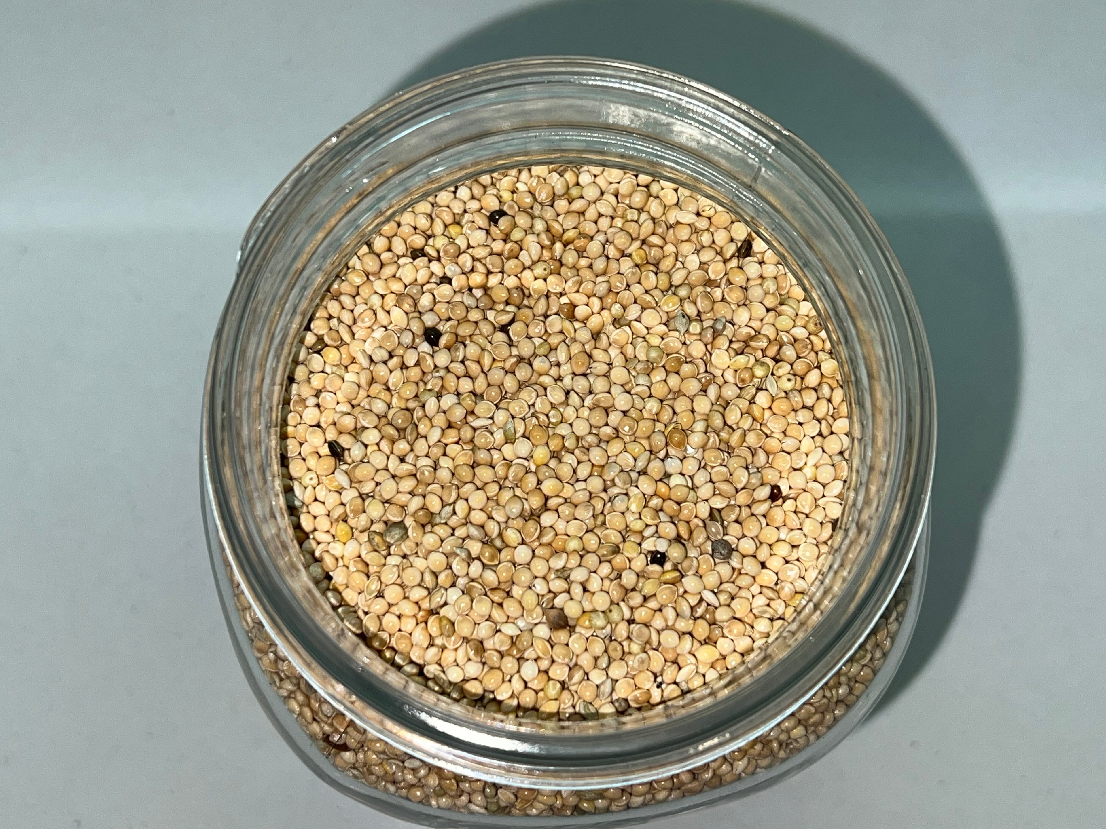 Organic Millet Spawn Jar 1L - Sterilized Mycology Grain with Injection Port