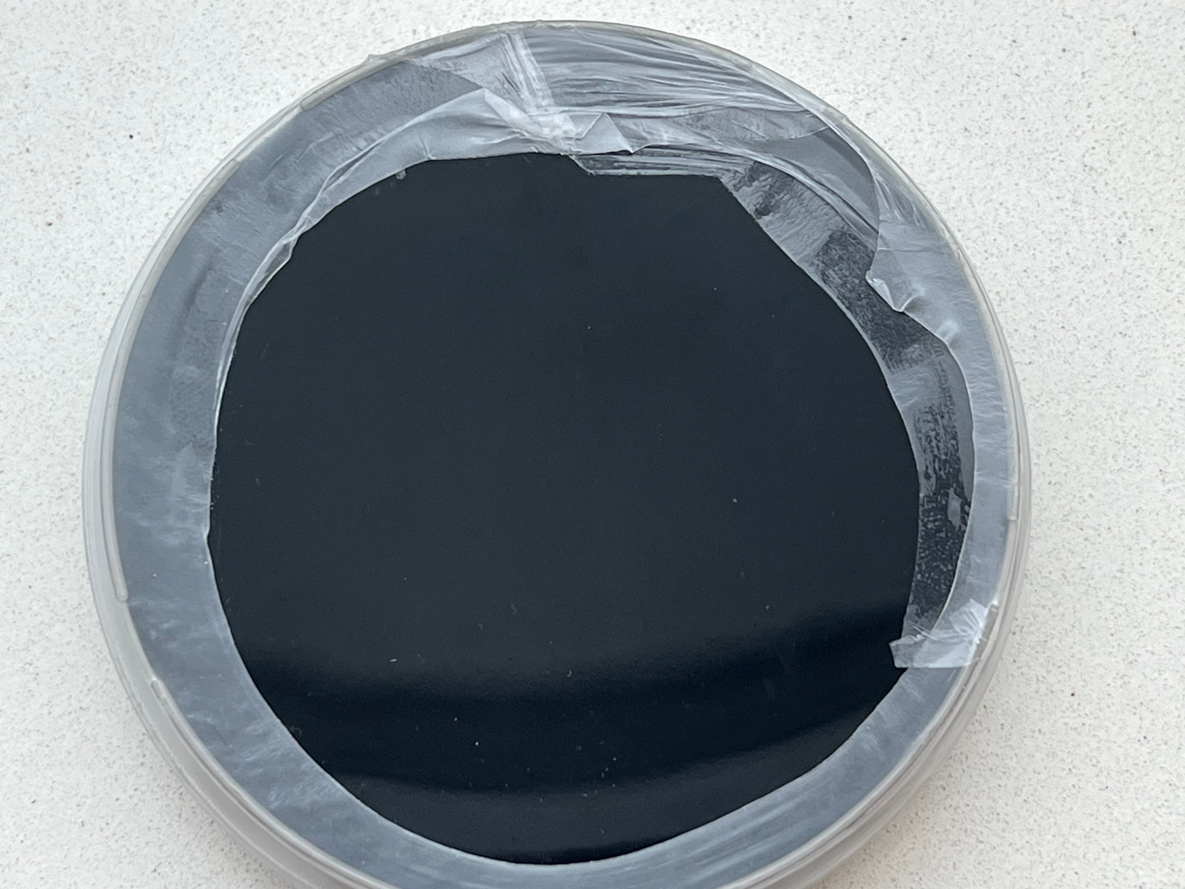 10 Piastre Petri Nere al Carbone | Agar DME Destrosio Lievito | Parafilm Incluso | Micologia | Coltura Funghi Sterile