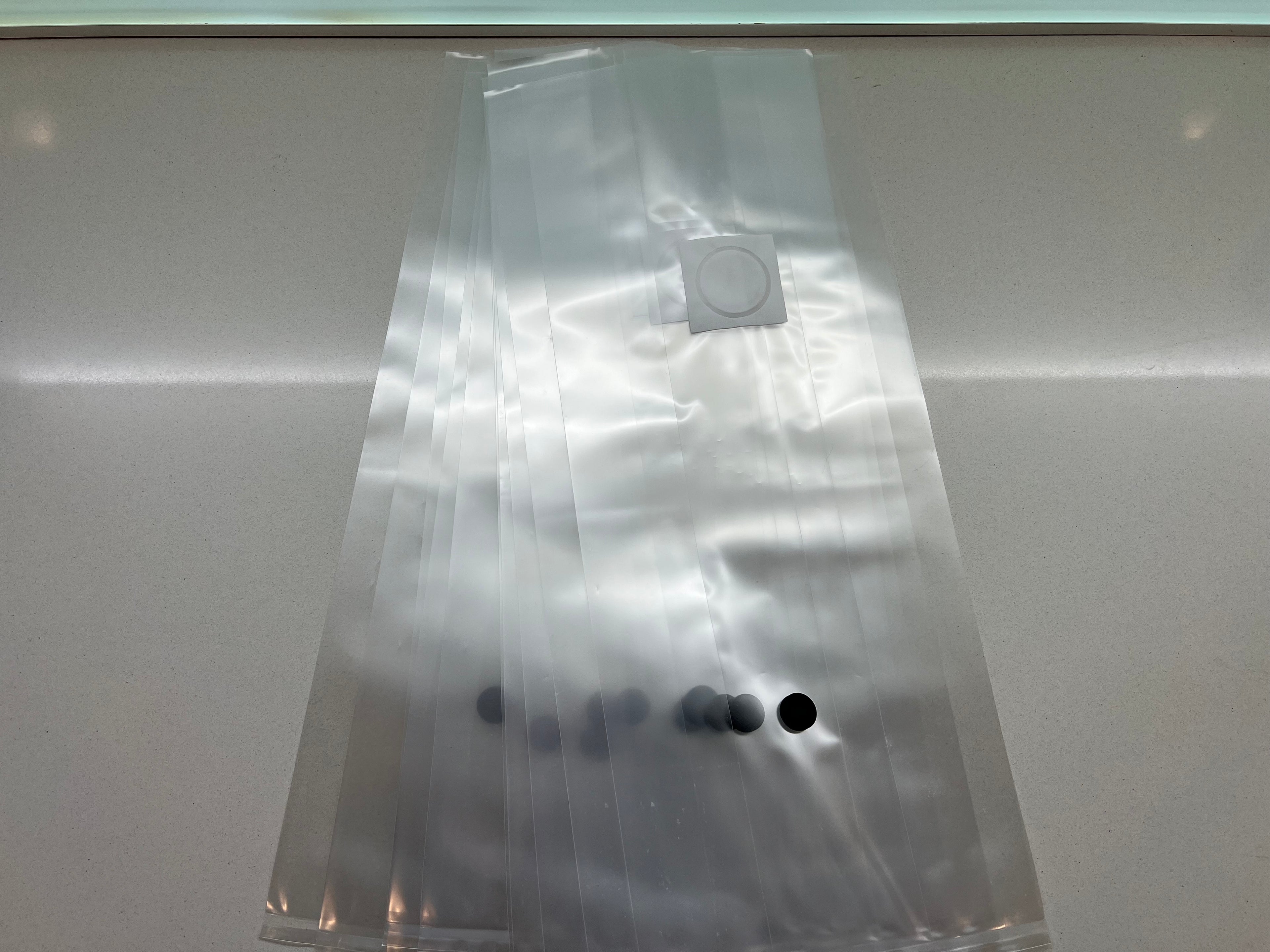 10 Grow Bag XL con Injection Port | Sacchi Micologia Autoclavabili 0,22 Micron | Funghi