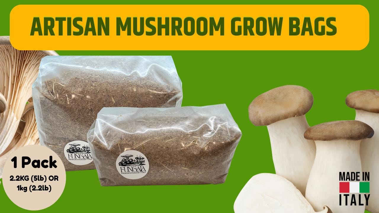 Substrato Master Blend 2.2kg Sterilizzato Funghi Gourmet Medicinali Terriccio Professionale Alta Resa