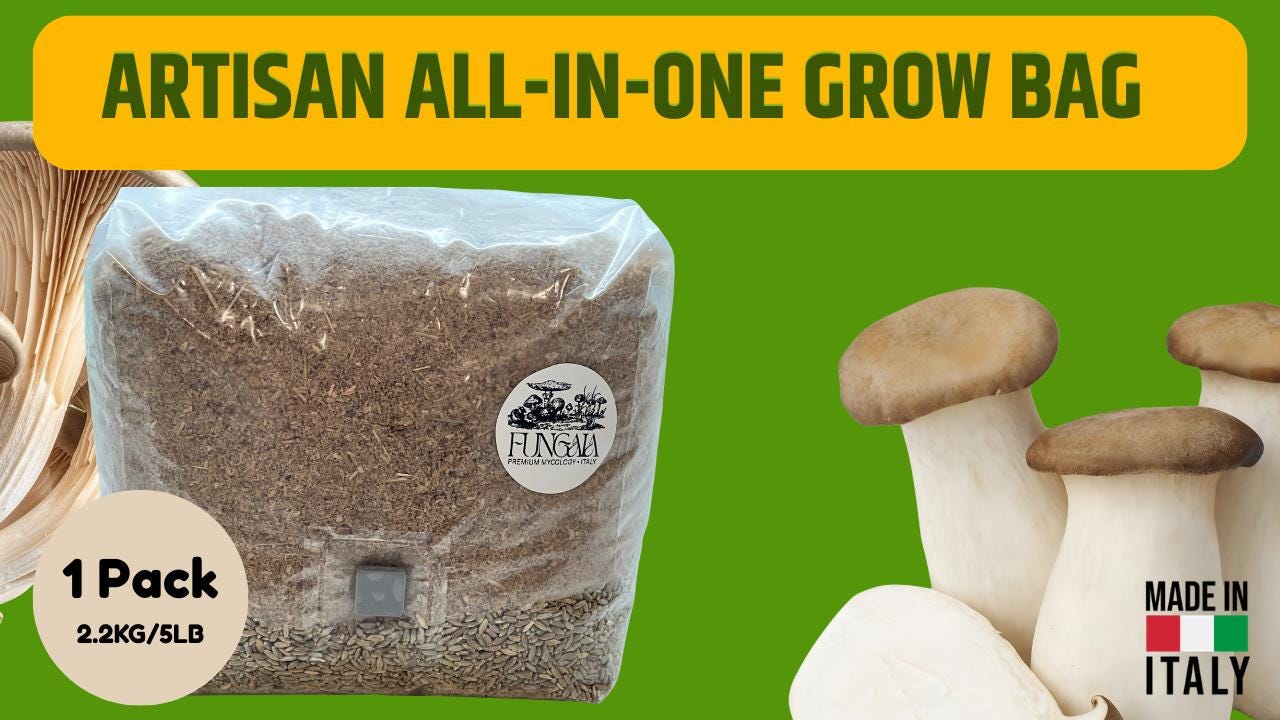 Kit Coltivazione Funghi All In One 2.2kg Substrato Sterilizzato e Cereali Porta Iniezione Alta Resa