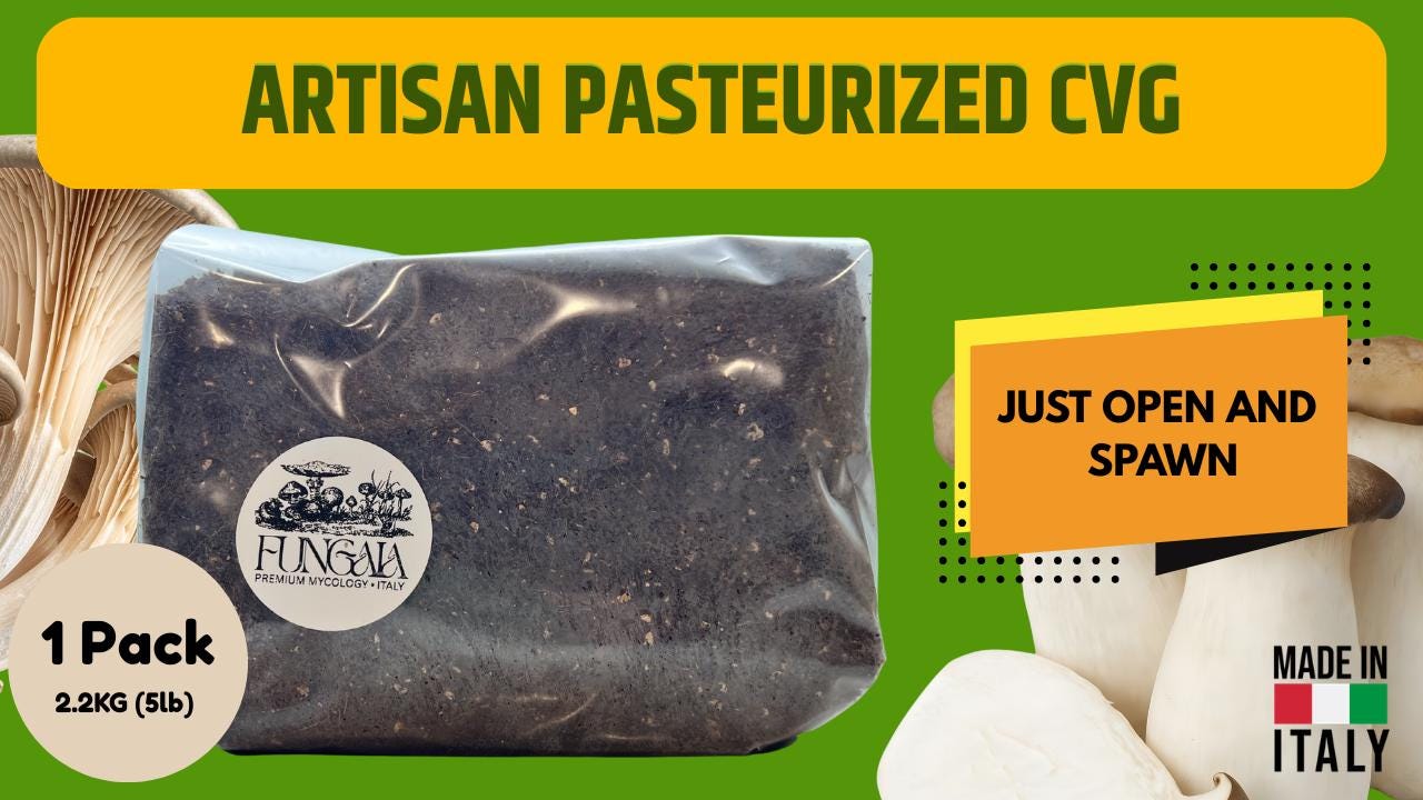 Mix CVG Substrato Funghi 2.2kg Pastorizzato Pronto all Uso Fibra di Cocco Vermiculite Gesso Bulk