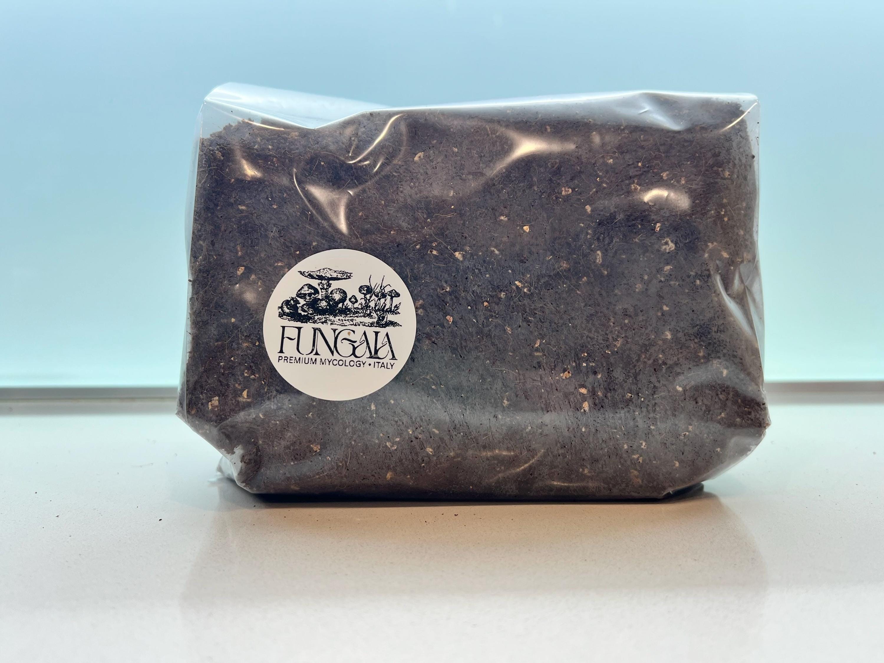 Mix CVG Substrato Funghi 2.2kg Pastorizzato Pronto all Uso Fibra di Cocco Vermiculite Gesso Bulk