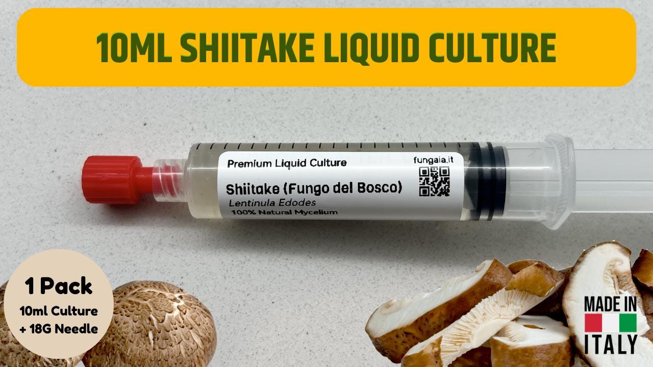 3 x 10ml Shiitake Coltura Liquida Micelio Vivo Triple Pack