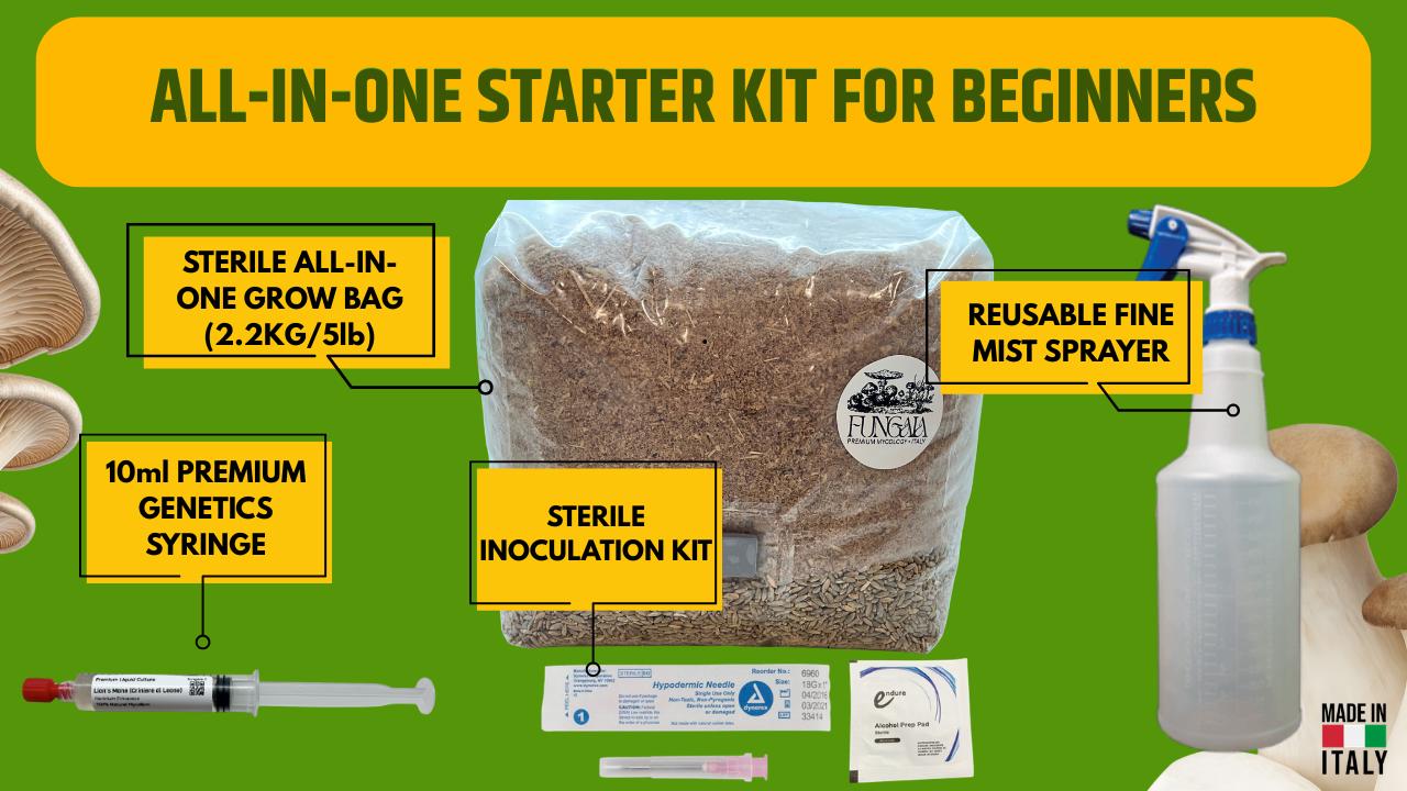 Kit Iniziale Funghi All-In-One Grow Bag 2kg con Scelta Coltura Liquida