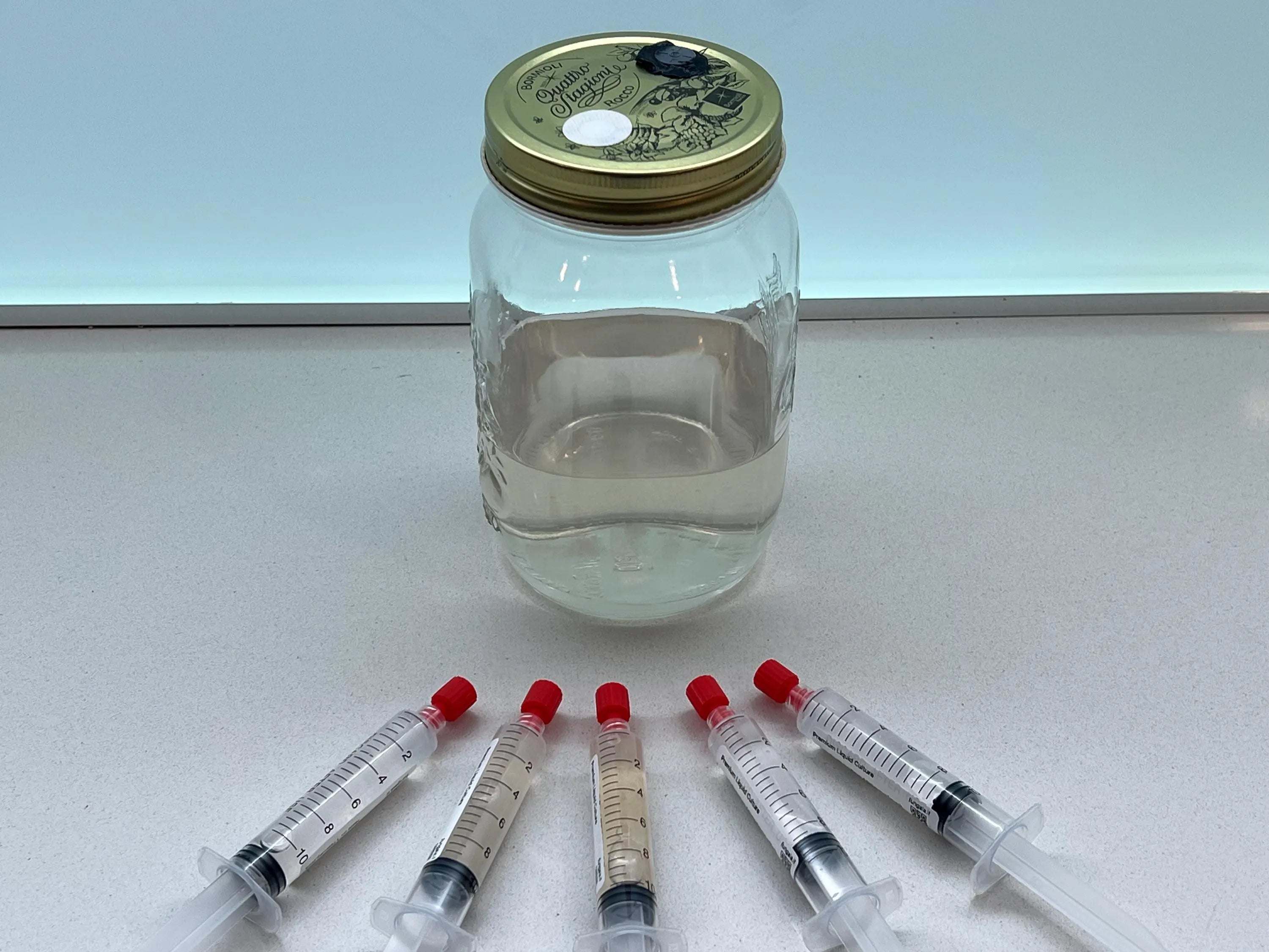 Vasetto Cultura Liquida 500ml - Pre-Inoculato & Testato 7 Giorni - Micelio Puro