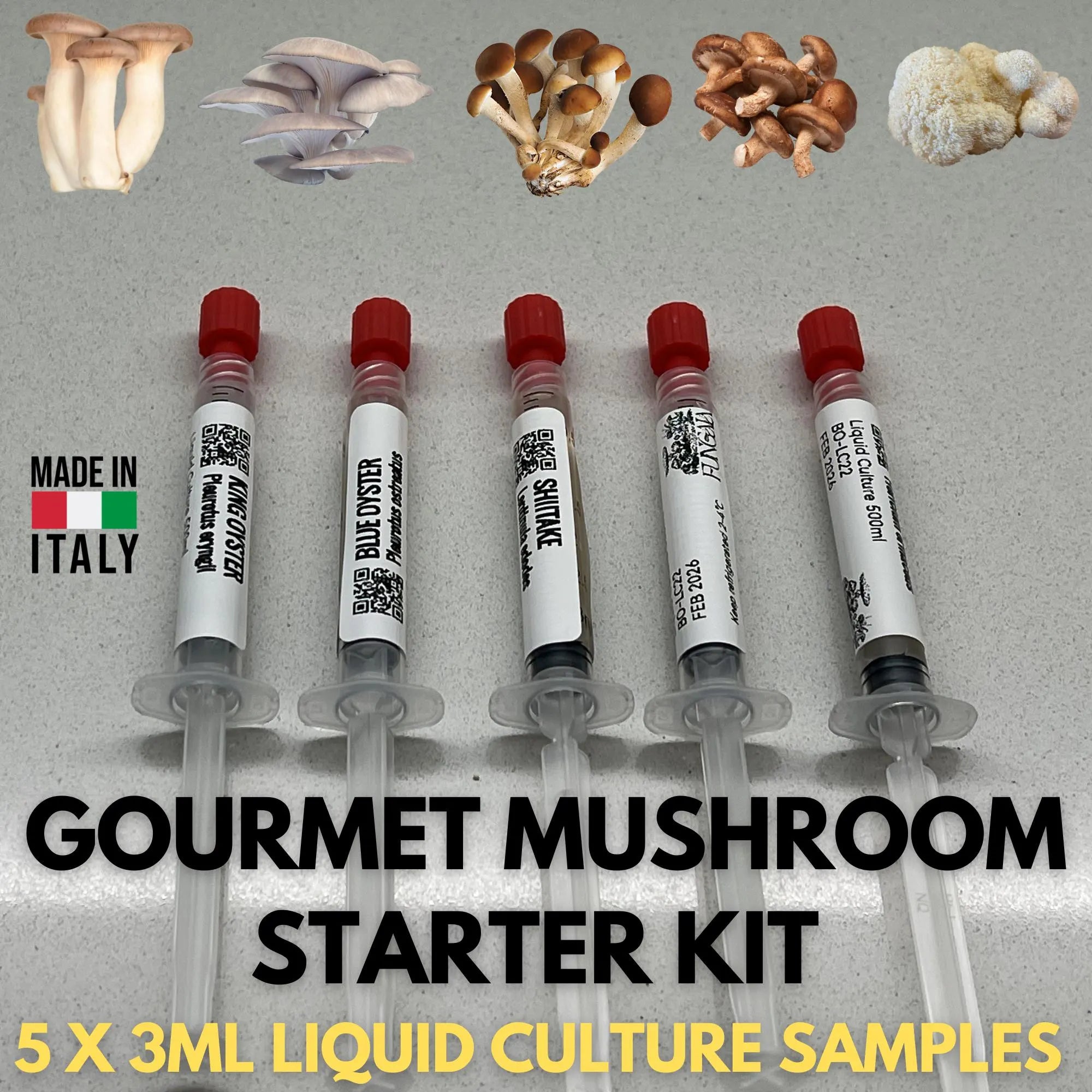 Kit Coltura Liquida Funghi Gourmet - 5 Varietà Selezionate (3ml Luer Lock) - Starter Pack Micologia Professionale