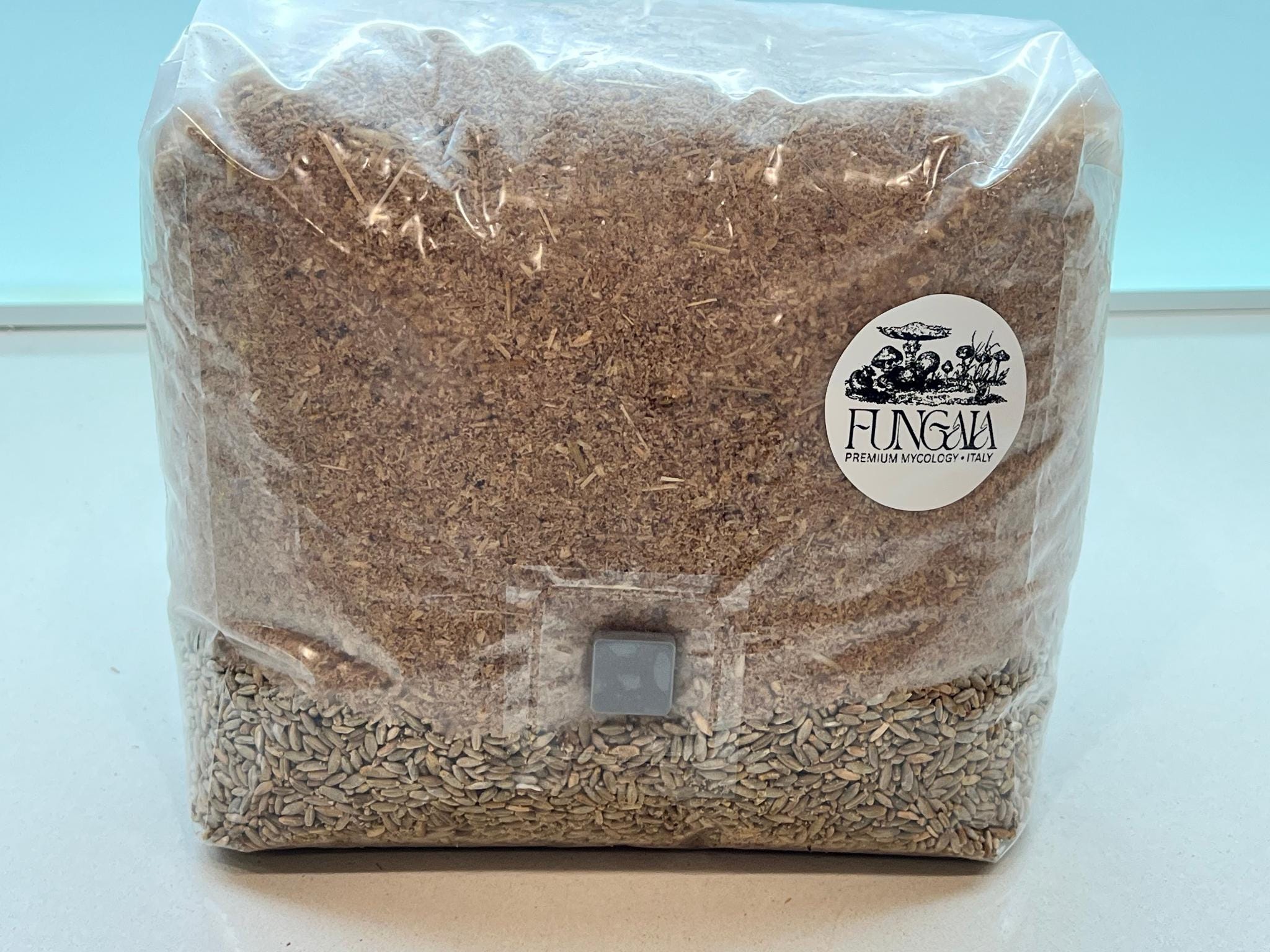 Kit Coltivazione Funghi All In One 2.2kg Substrato Sterilizzato e Cereali Porta Iniezione Alta Resa