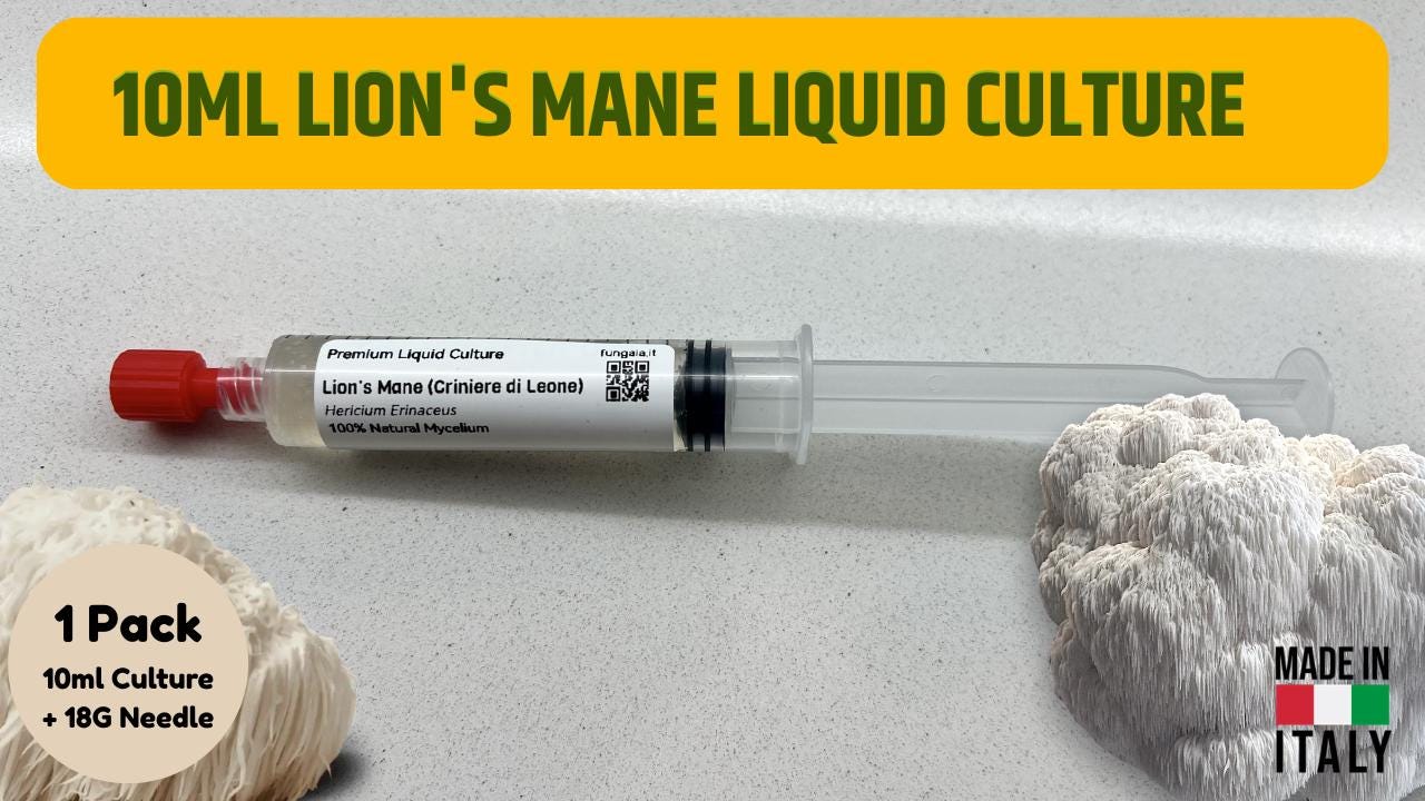3 x 10ml Criniera di Leone (Lion's Mane) Coltura Liquida Micelio Vivo Triple Pack