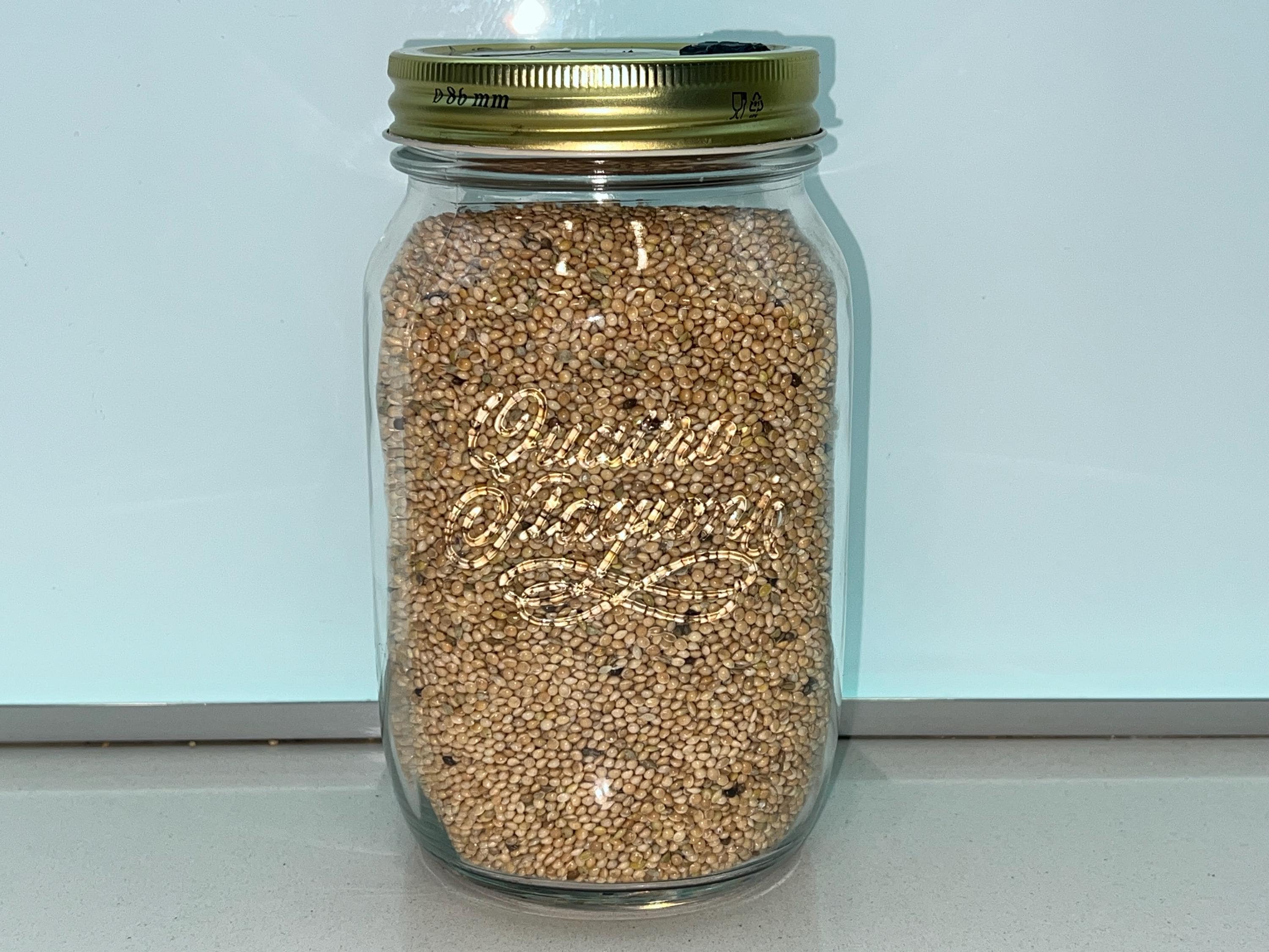 Spawn Enoki 1L Miglio Bio | Colonizzato | Qualità Laboratorio