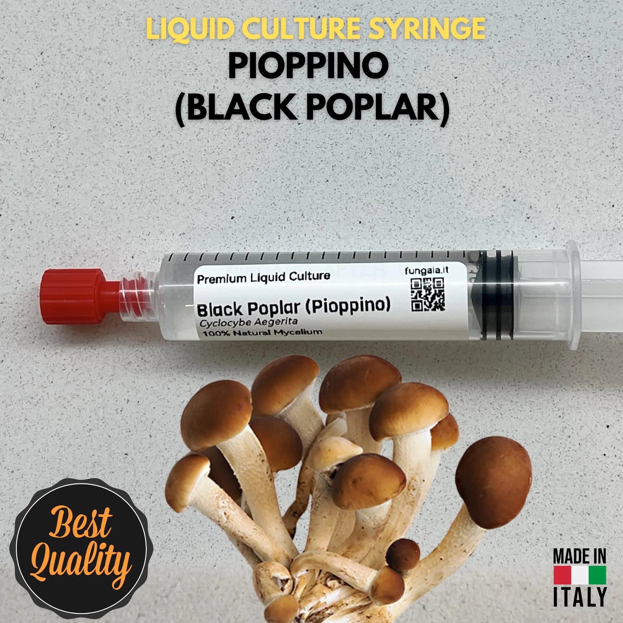 Coltura Liquida Pioppino 10ml Micelio Vivo Funghi Gourmet Cyclocybe Aegerita Micologia