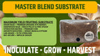 Mushroom Grow Bag 2kg Sterilized Rye + Beech Substrate | Injection Port | Oyster Shiitake Lion's Mane