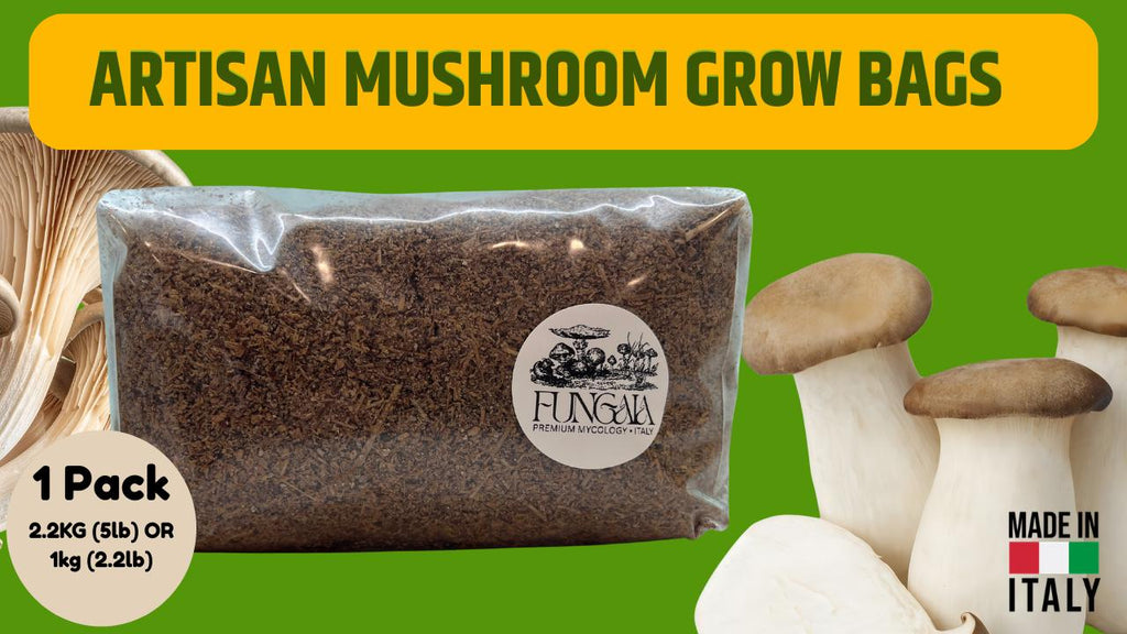 Premium Mushroom Substrate 3-Pack | 6kg (13.2lb) Total | Sterilized Hardwood Blend | Made in Italy