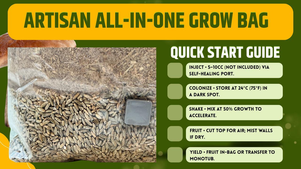 Mushroom Grow Bag 2kg Sterilized Rye + Beech Substrate | Injection Port | Oyster Shiitake Lion's Mane